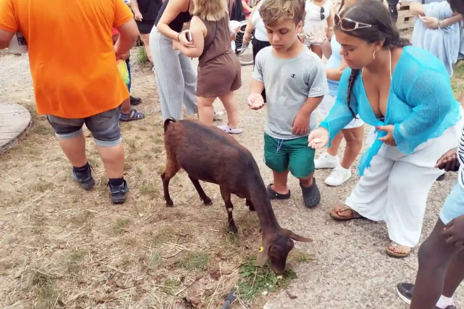 Los Caserinos Villaviciosa Asturias Campamento Alpe